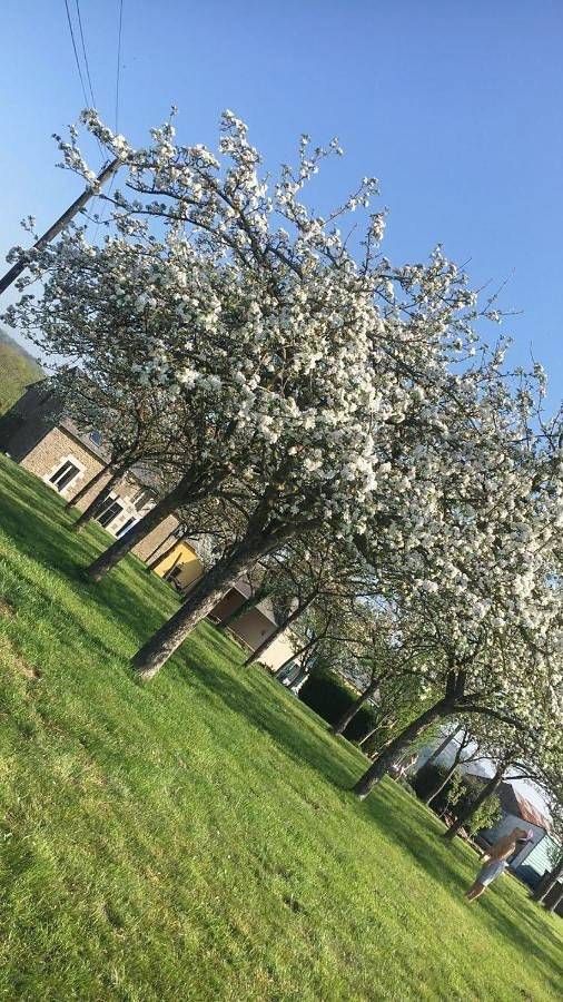 Location de vacances pour 12 personnes, avec piscine ainsi que jardin et vue à Saint-Laurent-de-Terregatte - 3