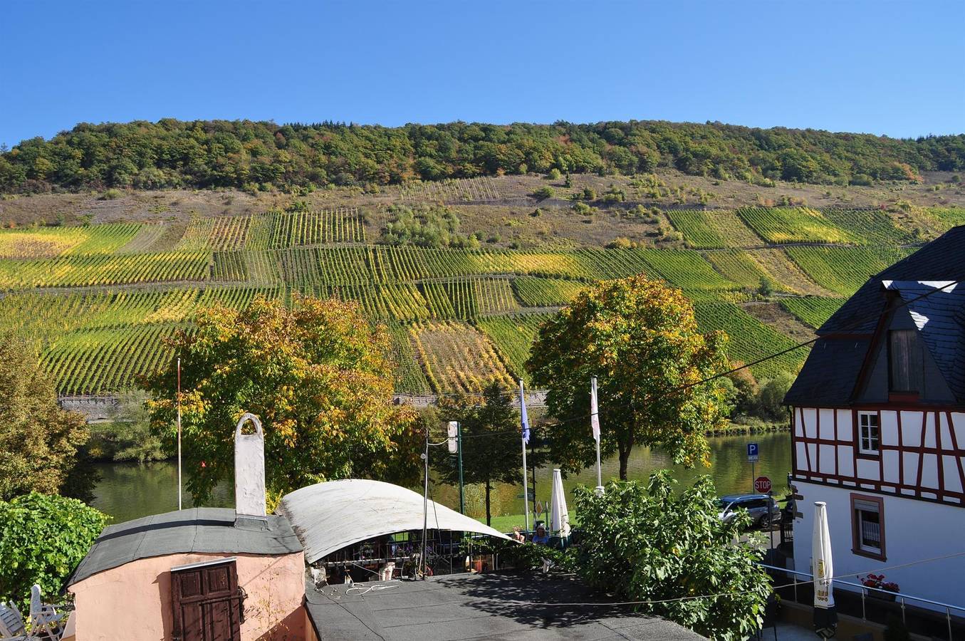 Appartement/Fewo, Dusche und Bad, Wc, 4 oder mehr in Reil, Bernkastel-Kues & Umgebung