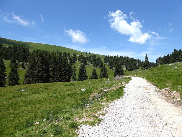 Chalet pour 5 personnes, avec jardin, animaux acceptés dans Dolomites - 3