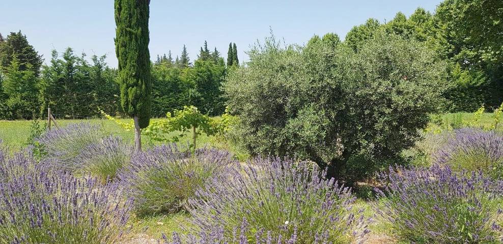 Location de vacances pour 4 personnes, avec piscine ainsi que vue et jardin à Lagnes - 4