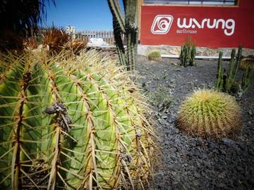 Maison d’hôte pour 2 personnes, avec piscine et jardin dans Fuerteventura