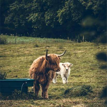 Gîte pour 5 personnes, avec jardin et vue à La Celle-sous-Gouzon - 2