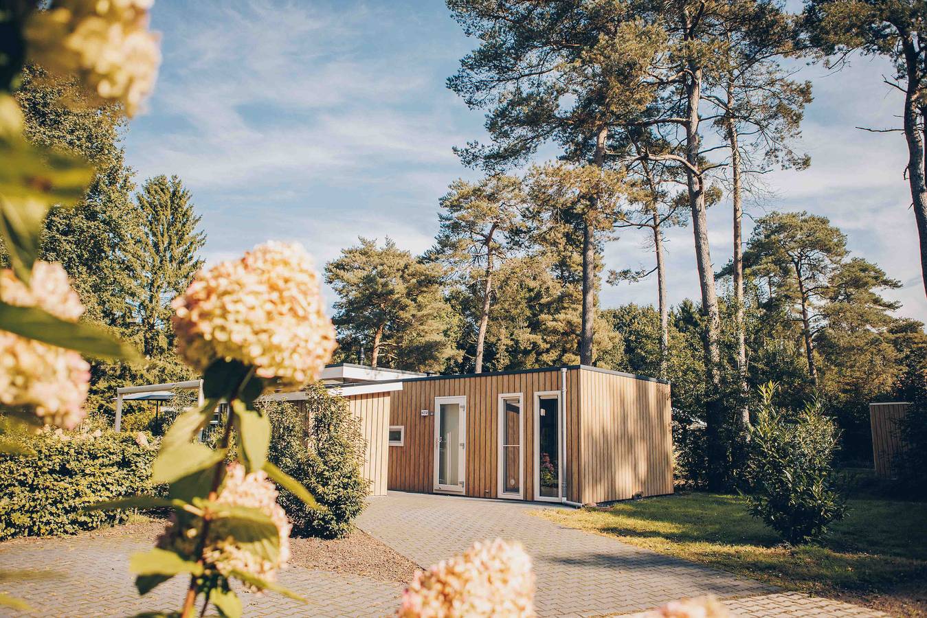 Landgoed Het Grote Zand — Boterbloem Wellness Chalet | 4 personen in Hooghalen, Drenthe