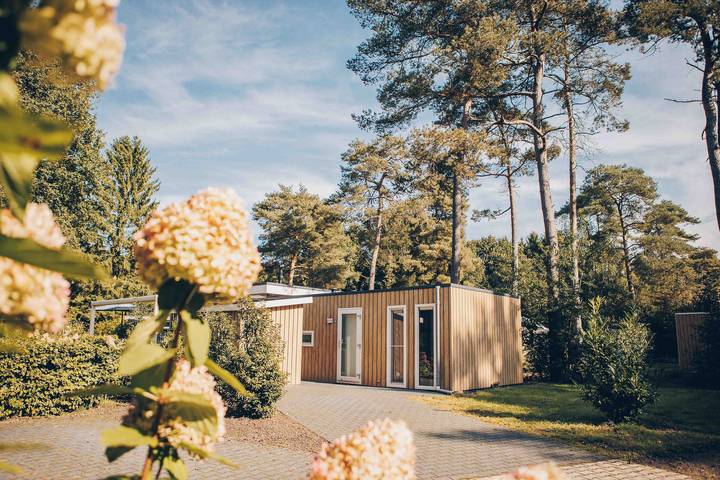Landgoed Het Grote Zand — Boterbloem Wellness Chalet | 4 Personen in Hooghalen, Drenthe