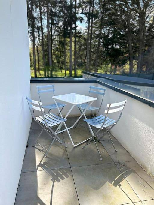 Gîte pour 4 personnes, avec jardin et terrasse à Changé - 2