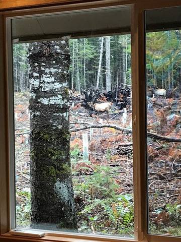 Vacation House for 7 Guests in Cascade Range, Picture 2