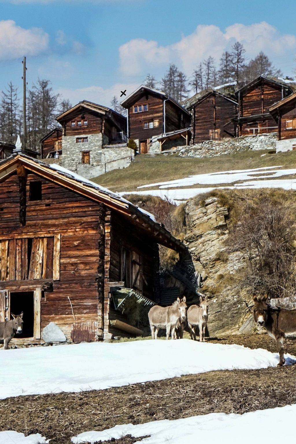 Chalet 1679 in Törbel, Walliser Alpen