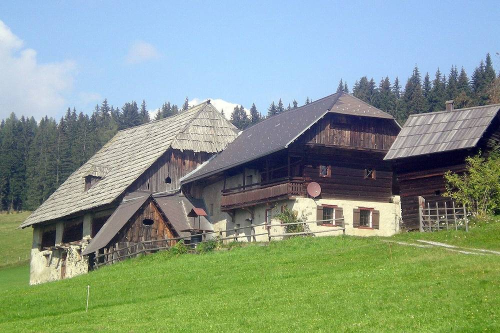 Bauernhaus Prosi Murtal Steiermark in Mariahof, Lavanttaler Alpen