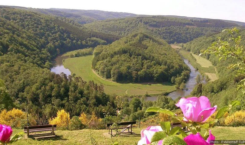 Ferienwohnung für 6 Personen, mit Terrasse und Ausblick, mit Haustier - 1