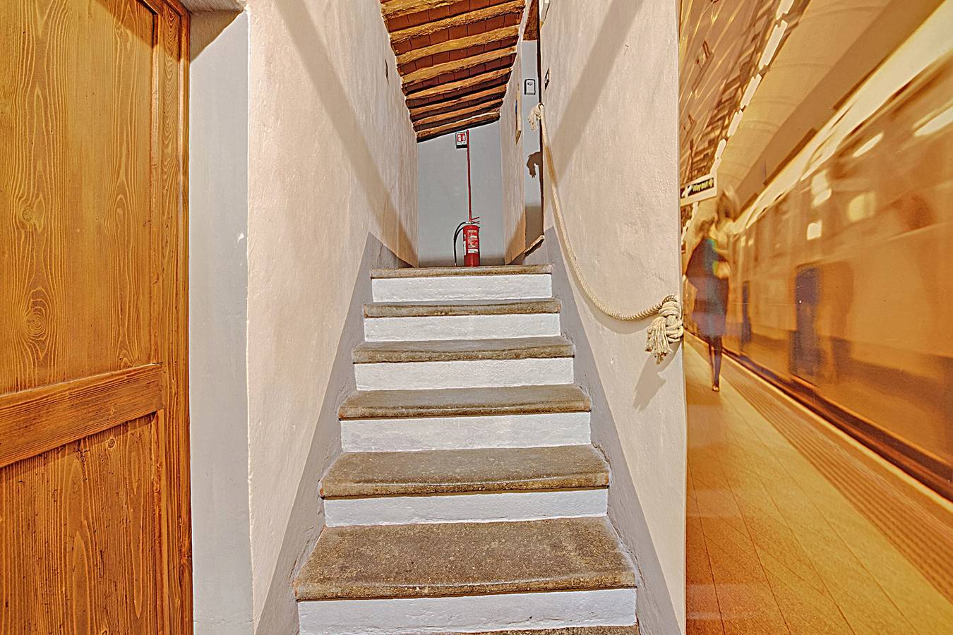 Ganze Wohnung, Torre Rasa 7 Giaggioli Olivi in Castelfiorentino, Florenz Provinz