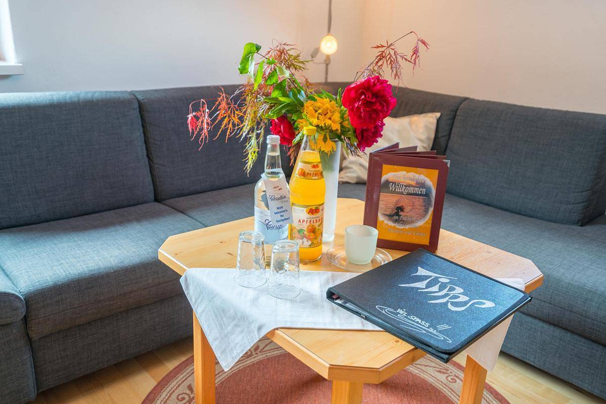 Ganze Ferienwohnung, Appartement/Fewo direkt am See in Millstatt, Bezirk Spittal an der Drau