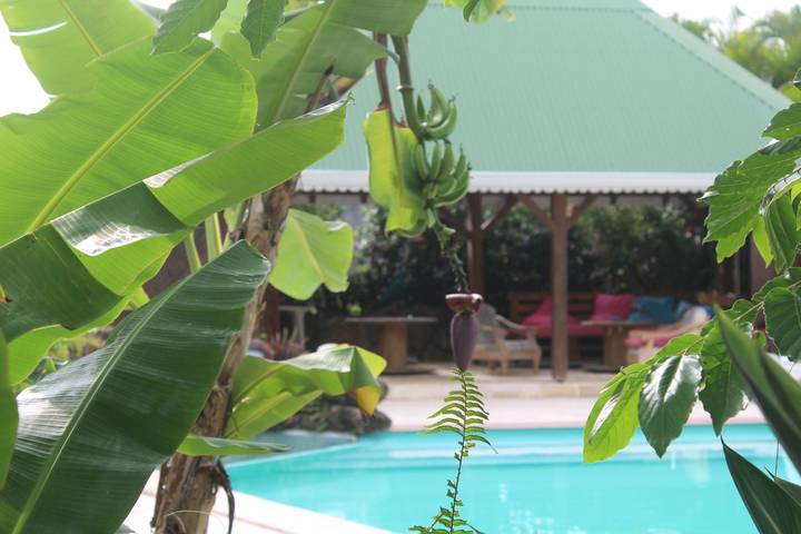 Gîte pour 14 personnes, avec jacuzzi et terrasse ainsi que jardin et piscine