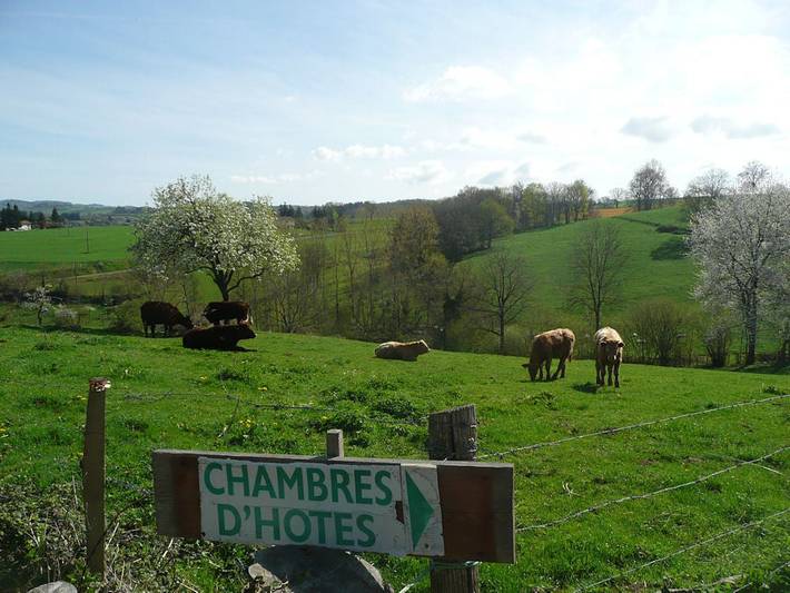 Chambre d’hôte pour 2 personnes, avec jardin - 1