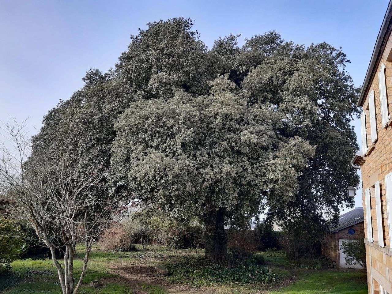 Le Domaine de l'Yeuse in Avranches, Bahía del Monte Saint-Michel