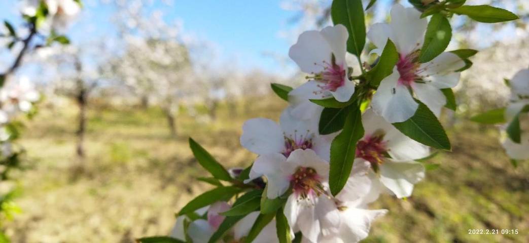 Location de vacances pour 4 personnes, avec vue et jardin à Mazzarino
