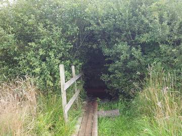 Ferieudlejning til 4 Personer i Jegum, Jegum Ferieland, Billede 4