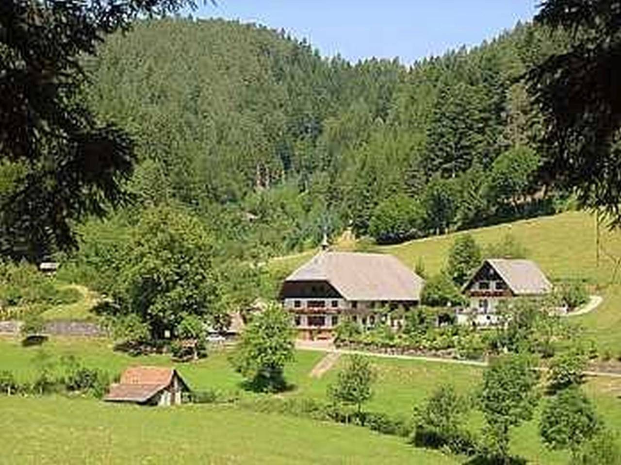 Apartamento inteiro, Apartment 'Naturhäusle, 45 sqm' with Mountain View, Balcony, Pets on Request in Hornberg, Central Black Forest