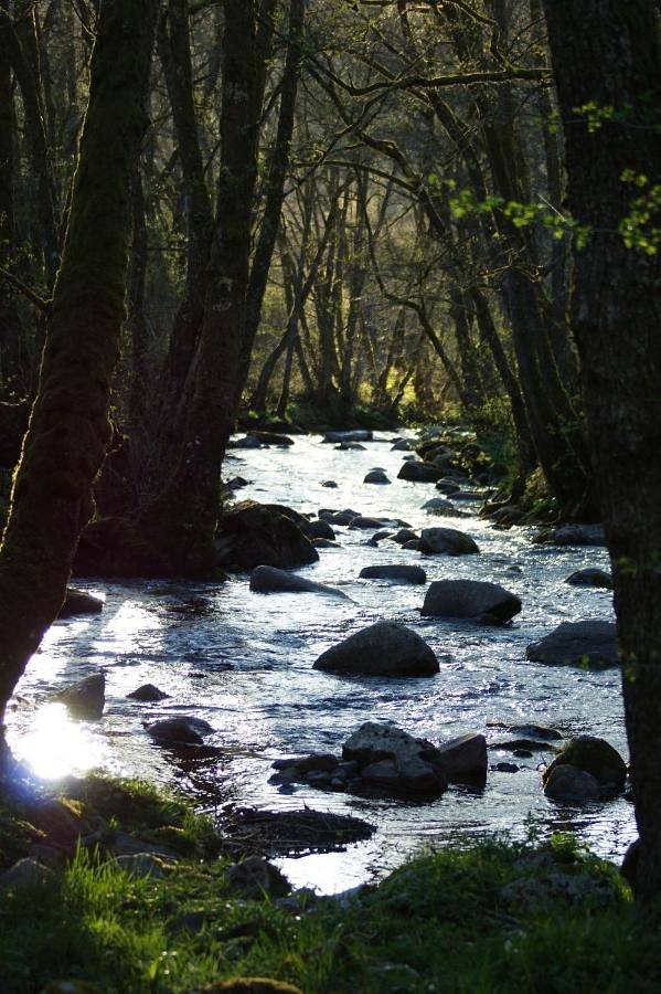 Location de vacances pour 4 personnes, avec vue et jardin à La Tour-d'Auvergne - 2