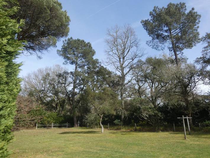Gîte pour 4 personnes, avec jardin à Azur - 2