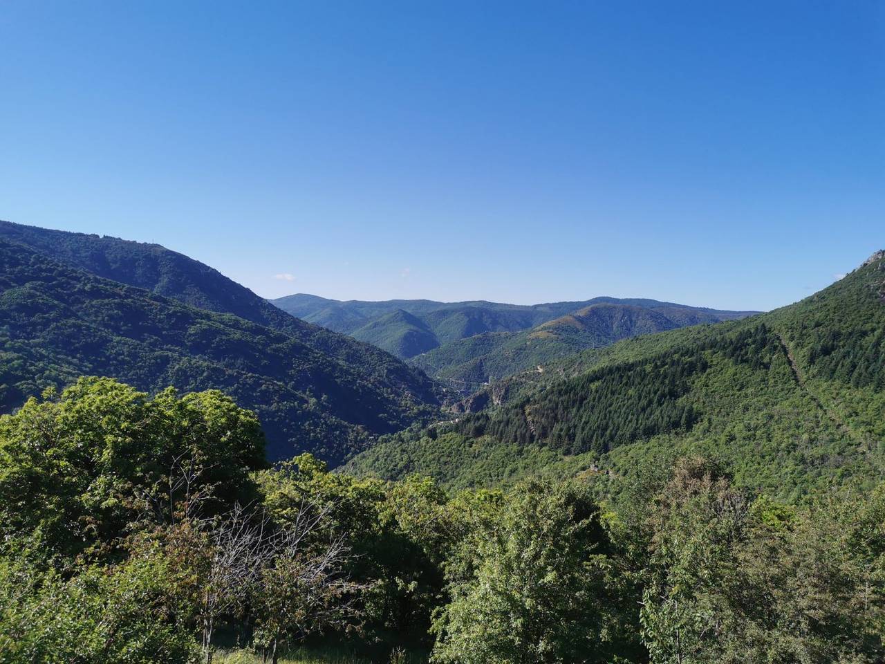 Vue imprenable. Vallée de la Borne in Pied-de-Borne, Parc national des Cévennes