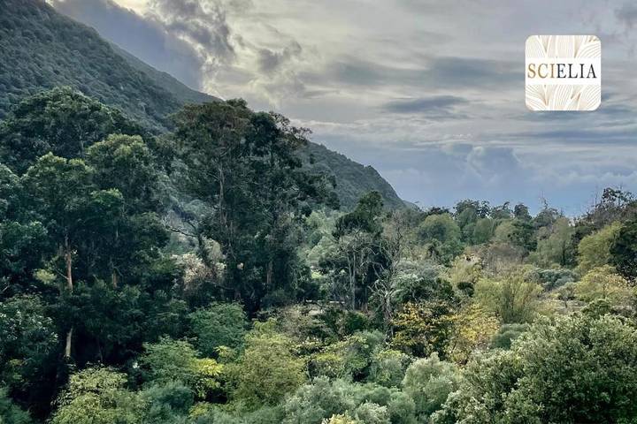 Gîte pour 5 personnes, avec vue et terrasse dans Porto (Corse) - 4