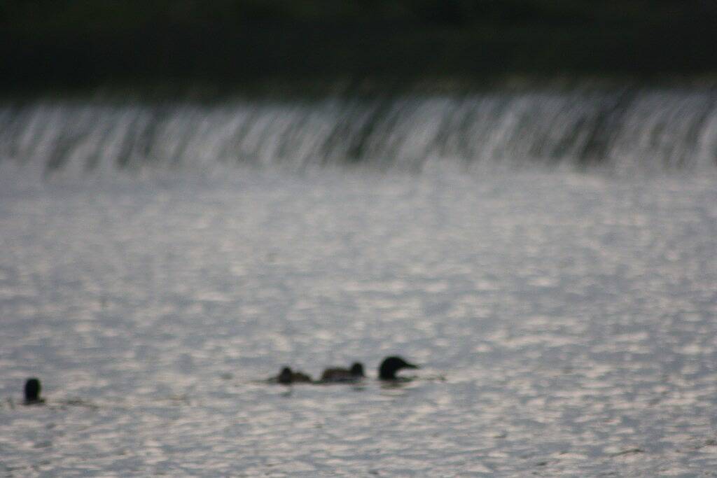 Schönes Haus am See mit Resort-Ausstattung in Becker County