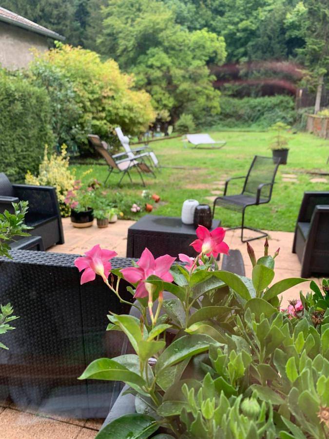 Gîte pour 8 personnes, avec jardin et vue, animaux acceptés dans Schirmeck - 4