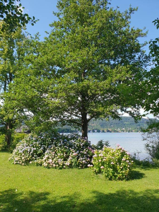 Villa für 6 Personen, mit Ausblick und Seeblick sowie Garten, mit Haustier am Wörthersee - 4