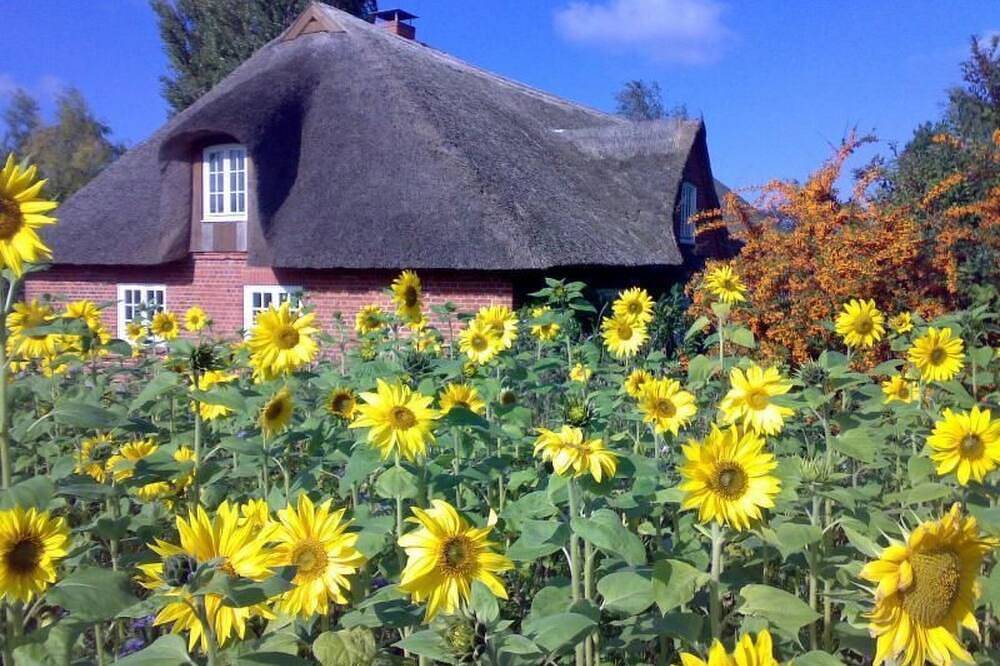 Finkenbusch in Riepsdorf, Ostholstein