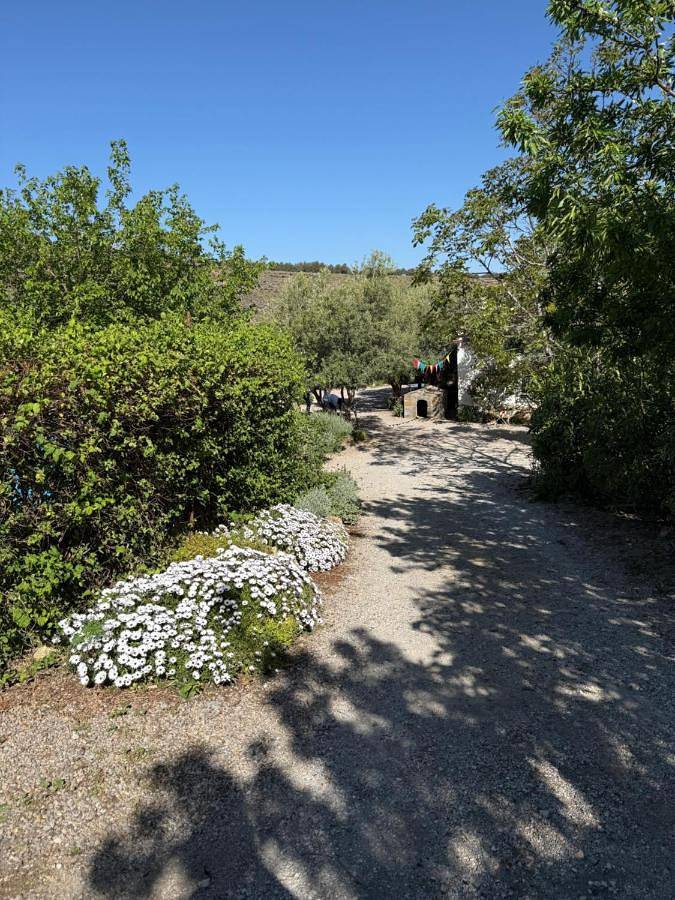 Casa rural para 14 personas, con jardín además de piscina y vistas, Se admiten mascotas en Vega de Granada - 4