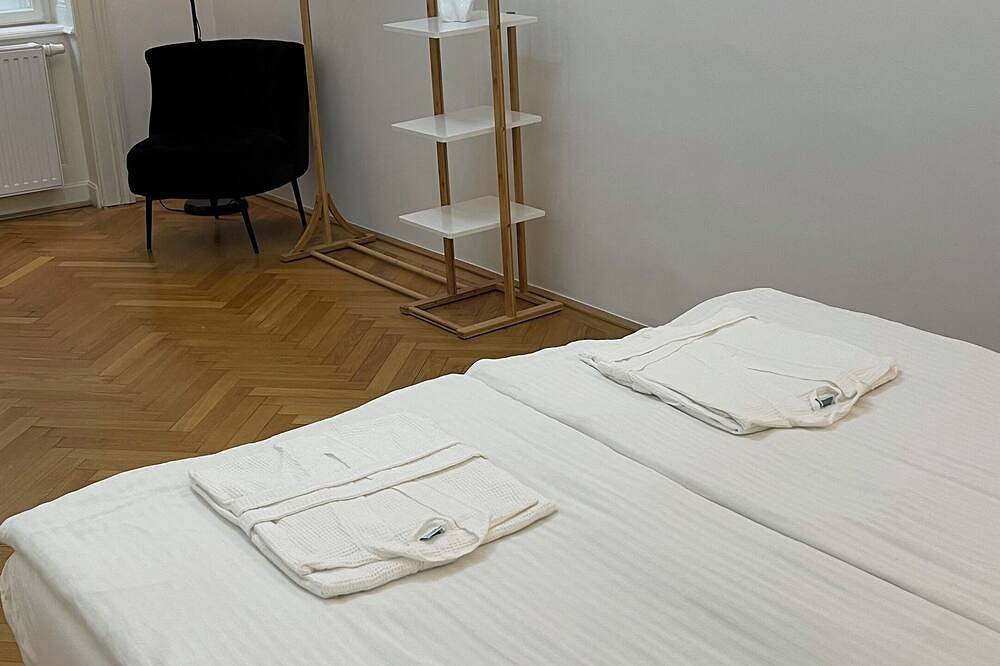 Ganze Wohnung, Marvelous 2-Bedroom Apartment in the Heart of Vienna in Wien Innenstadt, Wien
