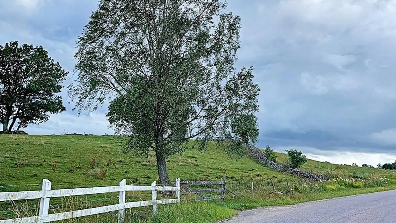 Ferienhaus für 9 Personen (143 m²) in Ljungbyhed in Klippan (Kommun)