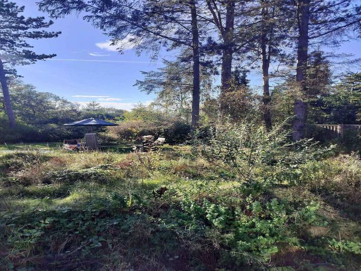 Ferienhaus für 6 Personen, mit Terrasse, kinderfreundlich in Orø - 3