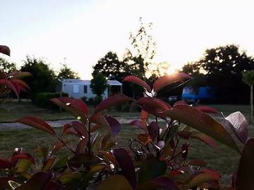 Camping para 4 Personas en Sainte-Foy (Vendée), Valle del Loira, Foto 2
