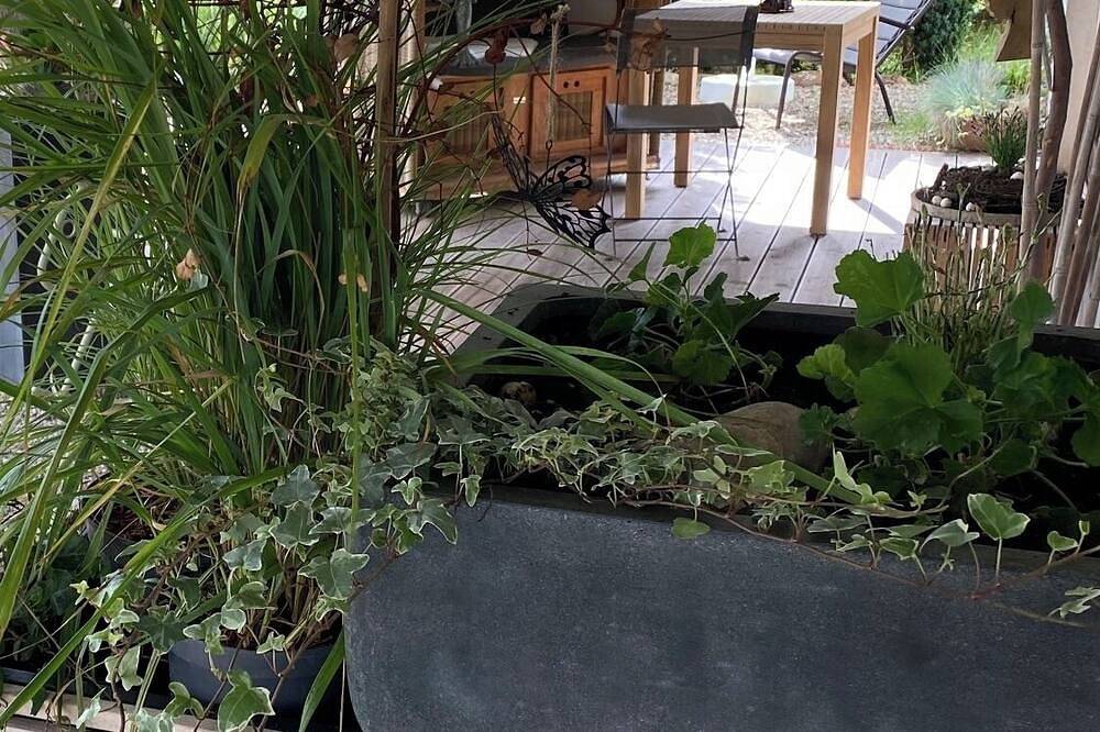 Ganze Wohnung, Exclusives Studio - Serviced Apartment in Winnweiler, Pfälzer Bergland