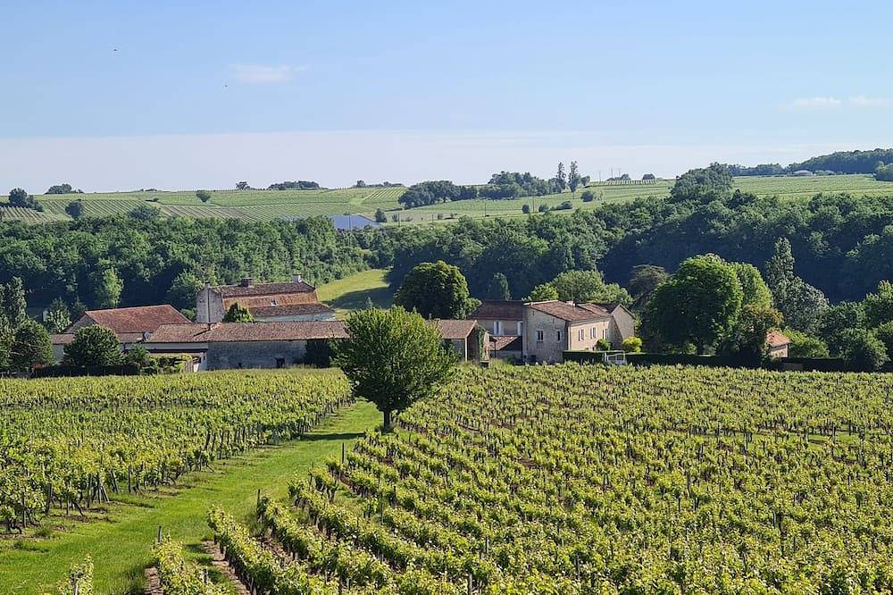 Dépendance Dans un Château des 15ème et 16ème Siècles in Les Lèves-et-Thoumeyragues, Libourne en omgeving