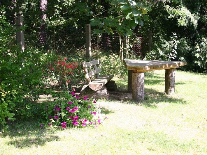 Ferienhaus für 4 Personen, mit Garten in Waren (Müritz) - 4