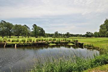 Vacation Home for 6 Guests in Palmetto Dunes, Beaufort County, Picture 2