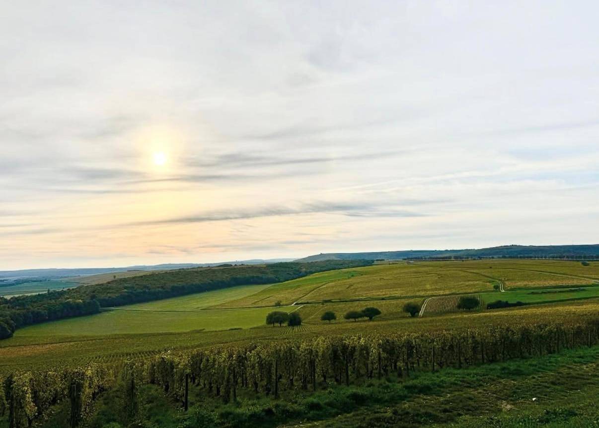Maison Palomase en plein cœur de Sancerre in Sancerre, Région de Bourges