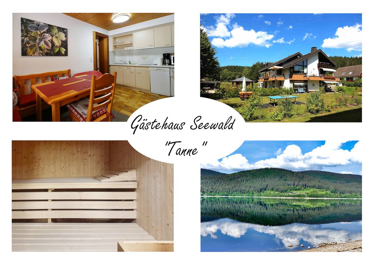 Ganze Ferienwohnung, Gästehaus Seewald- Ferienwohnung 3 "Tanne", Schluchsee, Blasiwald in Blasiwald (Schluchsee), Schluchsee