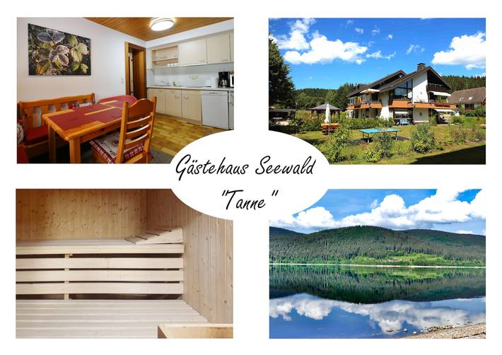 Ferienwohnung für 4 Personen, mit Garten und Sauna sowie Terrasse in Schluchsee
