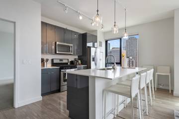 Vacation Rental for 5 Guests in Chicago, Cook County, Picture 1