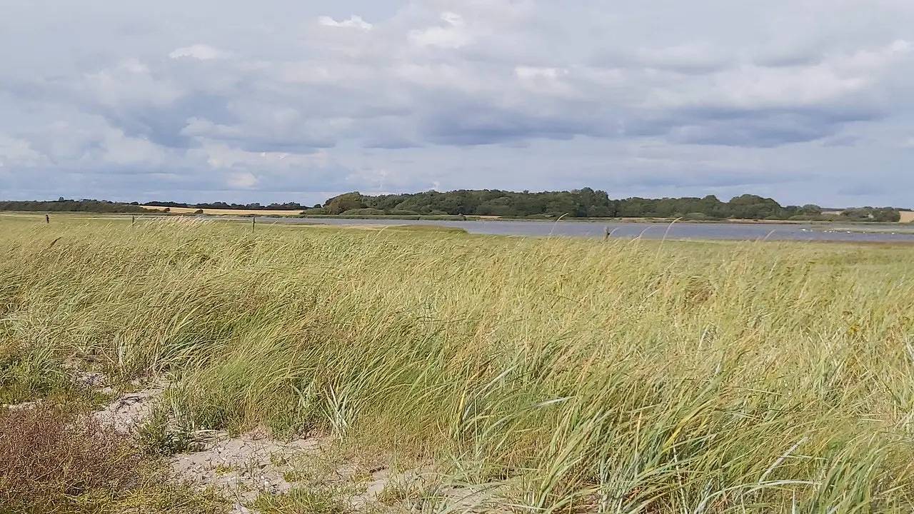 Ferienhaus für 6 Personen (66 m²) in Assens in Assens, Lillebælt