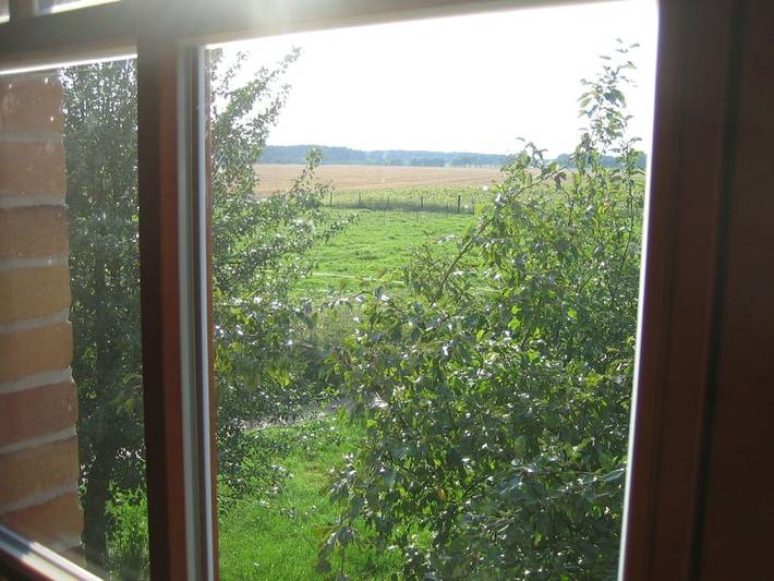 Ferienhaus für 12 Personen, mit Terrasse und Sauna in Neuhausen/Spree - 3