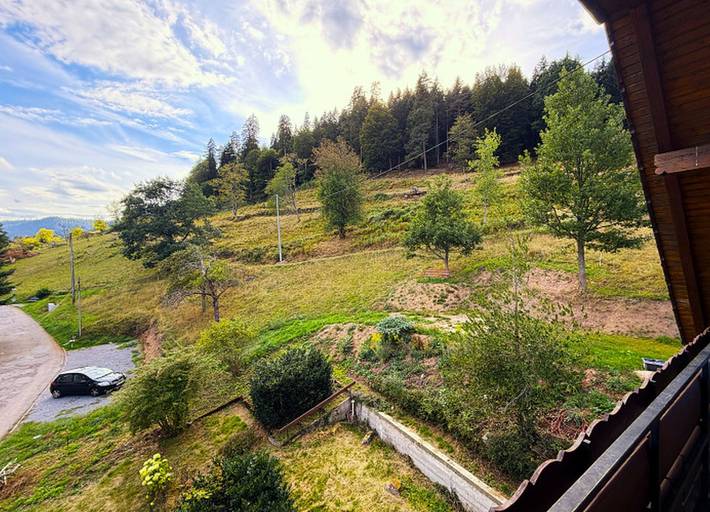 Gästehaus Waldruhe - Ferienhaus, ca. 400 qm, Grundstück ca. 1500 qm, 11 Schlafzimmer, max. 30 Personen in Enzklösterle, Northern Black Forest