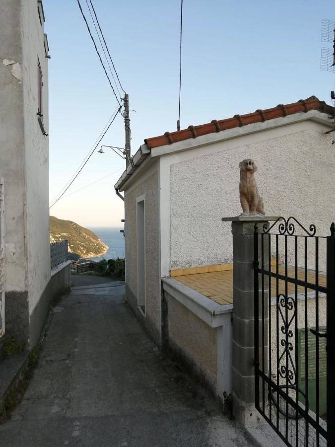 Sentieri sul Mare in Crova, Moneglia