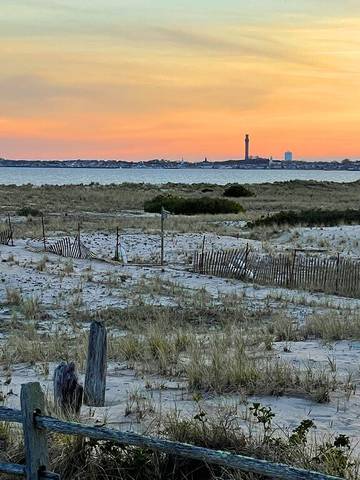 Cottage for 4 Guests in Truro (MA), Cape Cod, Picture 2