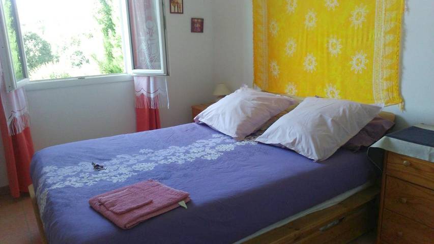 Chambre d’hôte pour 3 personnes, avec vue et jardin à Régusse - 4