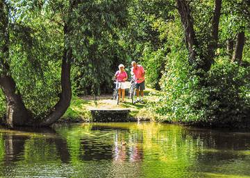 Camping für 6 Personen in Burnham on Sea & Highbridge, Somerset, Bild 2