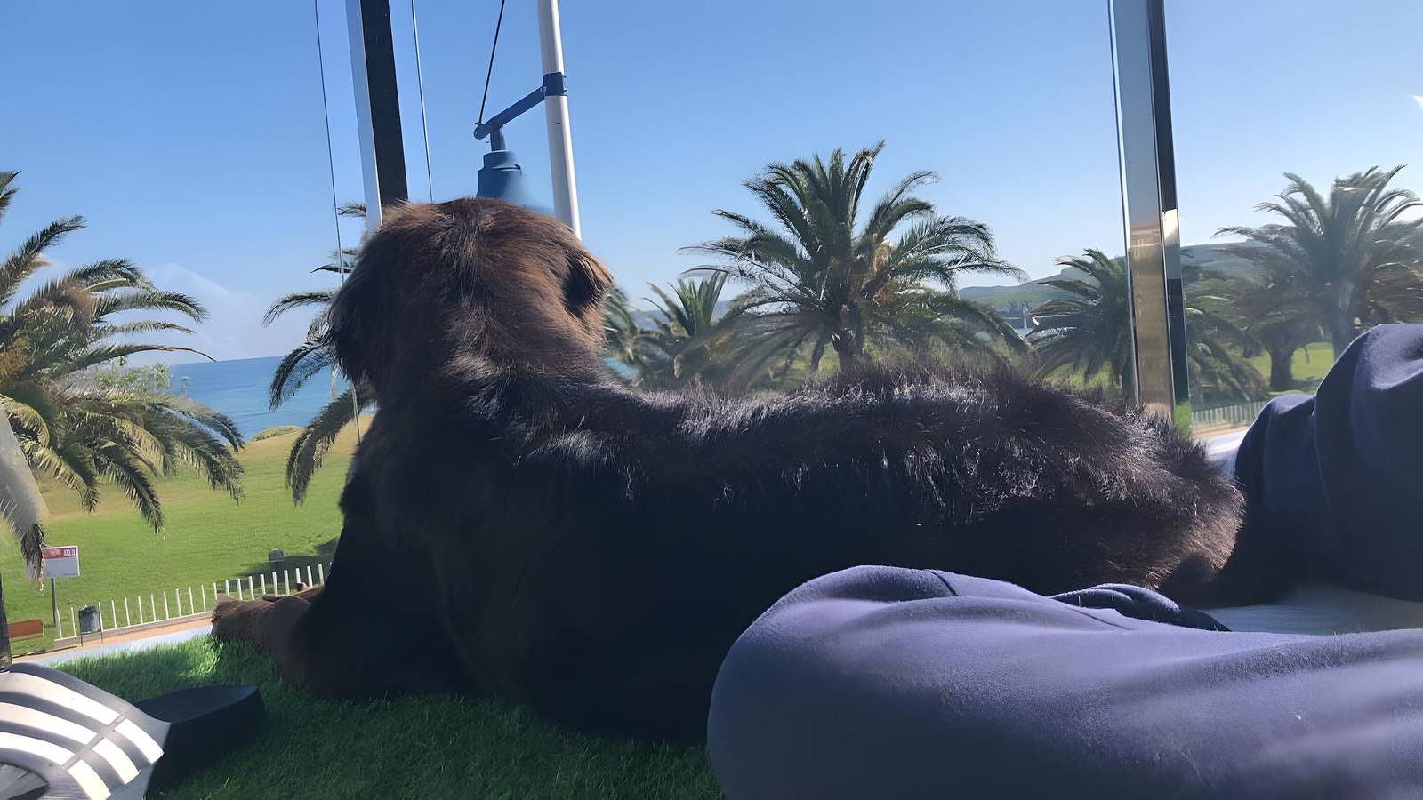 Ganze Wohnung, Alojamientos Marte: apartment right on the beach in Suances, Kantabrische Küste